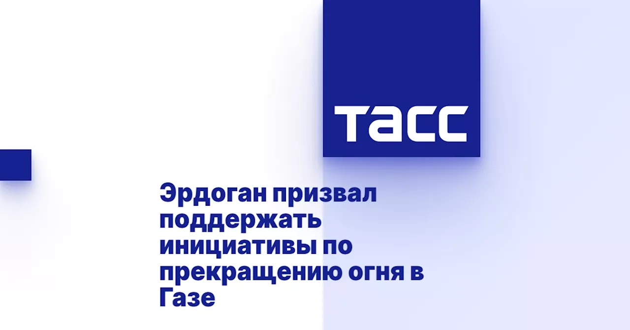 Эрдоган призвал поддержать инициативы по прекращению огня в Газе