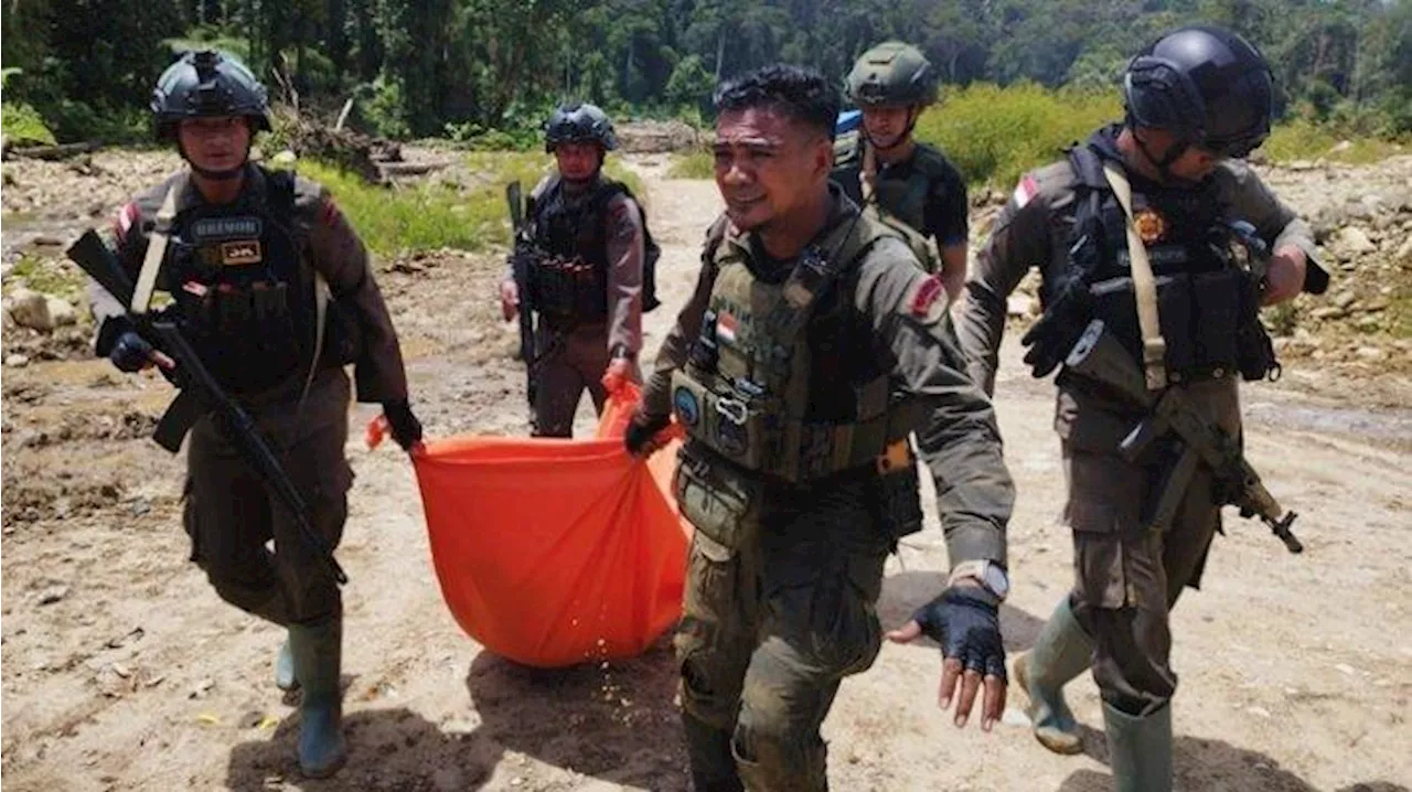 3 Hari 8 Warga Sipil Tewas Diserang KKB, Pendulang Emas hingga Pekerja Proyek Pembangunan Puskesmas