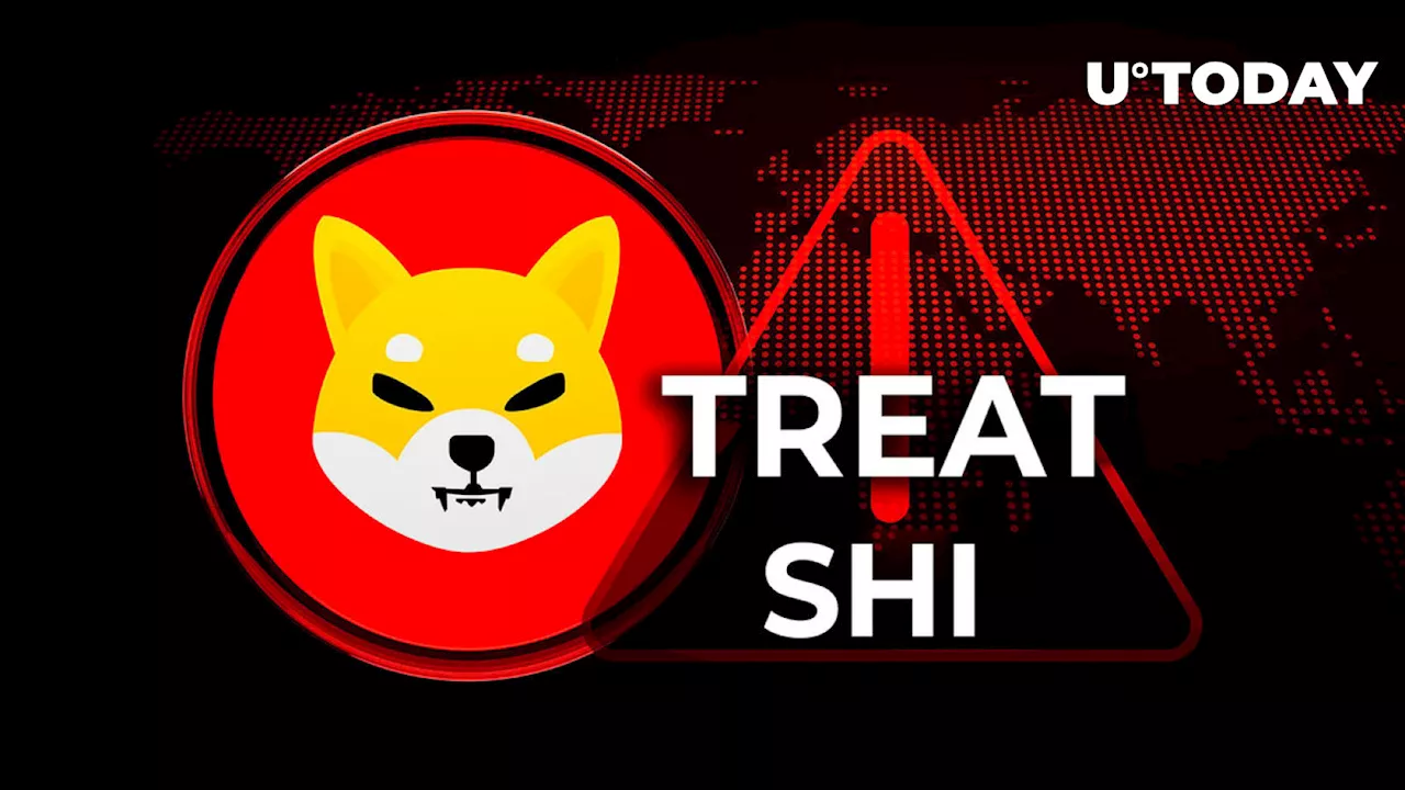 SHIB Official Makes Crucial Warning about SHI and TREAT Coins