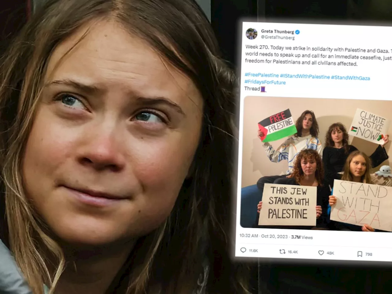 Greta Thunberg teilte israel-feindlichen Aufruf auf Twitter