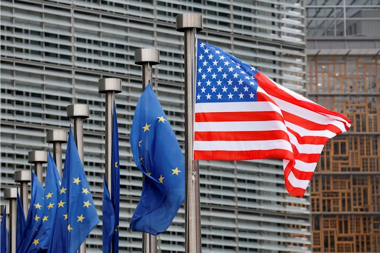 EU, US could agree on critical minerals despite steel failure, says France
