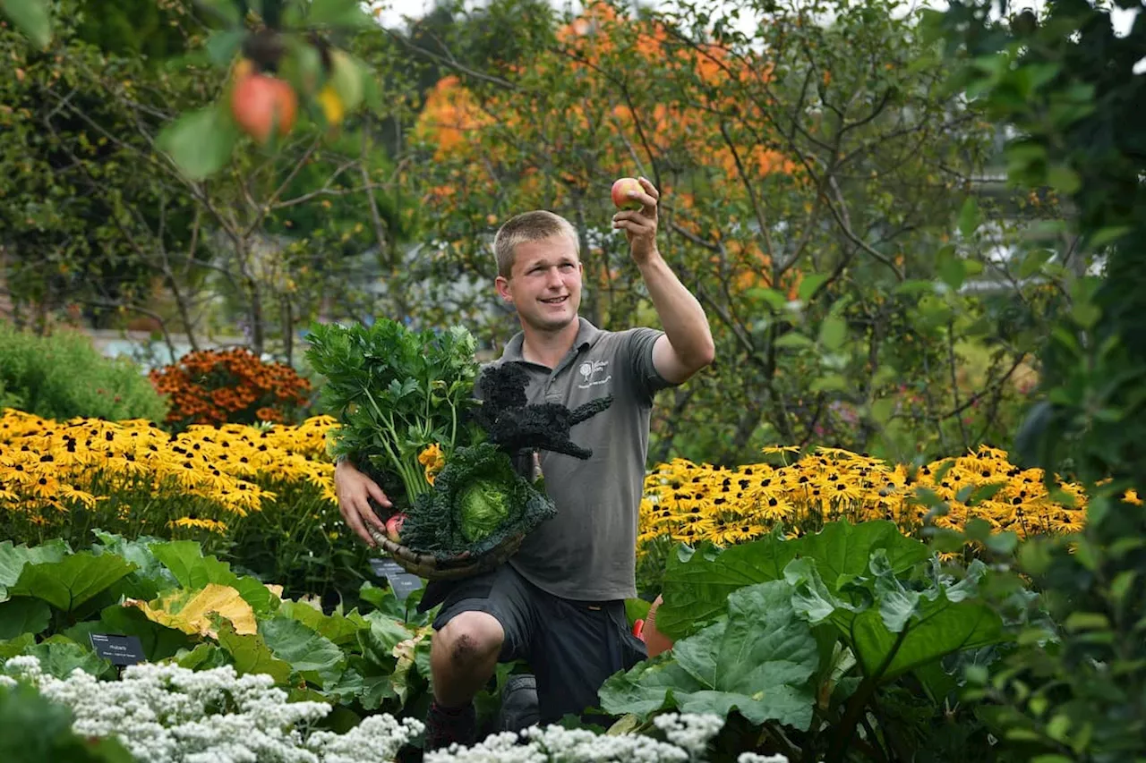 Storm Babet: RHS Harlow Carr to cancel autumn garden event due to Storm Babet weather