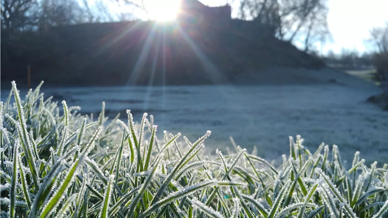 Freeze Watch issued for central Ohio Sunday night, Monday morning