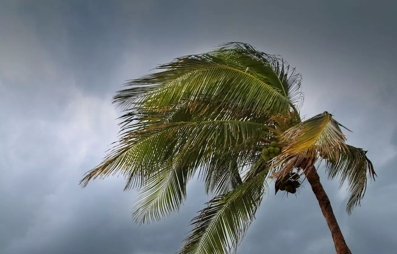 Guadeloupe : L’île confinée jusqu’à nouvel ordre, l’alerte « violet » déclenchée avec le passage de l'ouragan Tammy