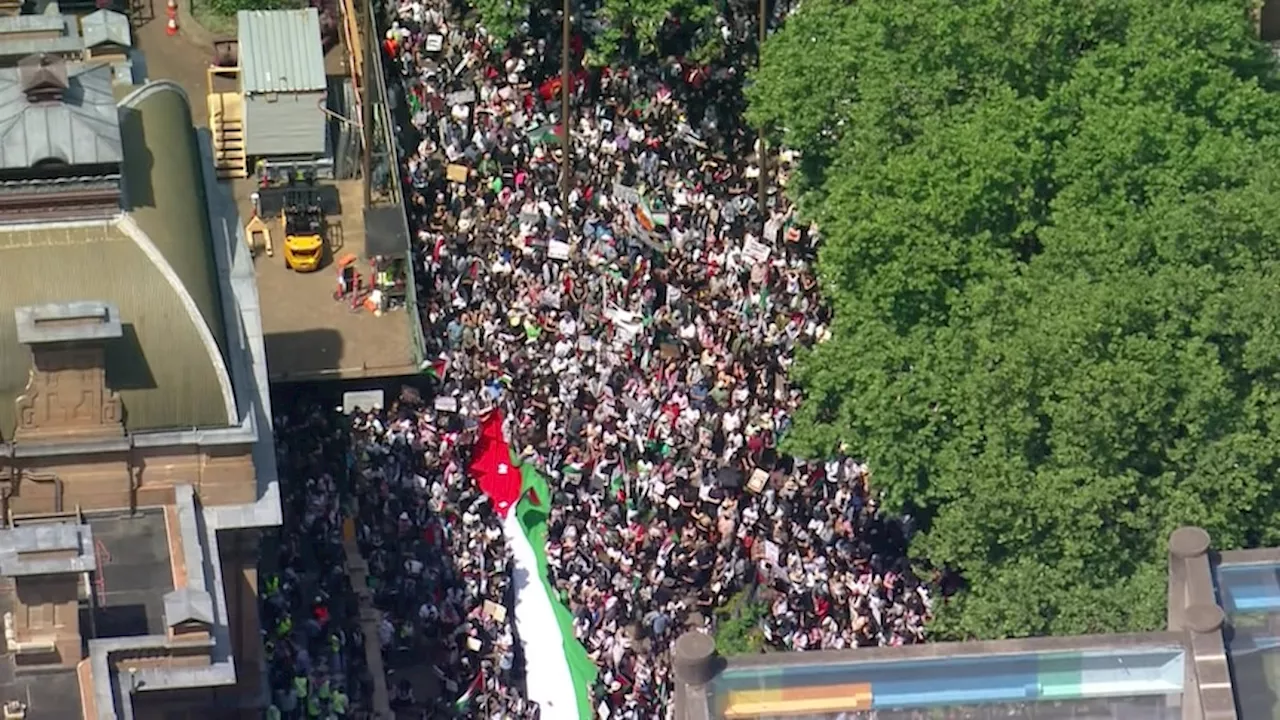 'Shame shame Albanese' chants reverberate through Sydney's CBD as thousands attend pro-Palestinian march