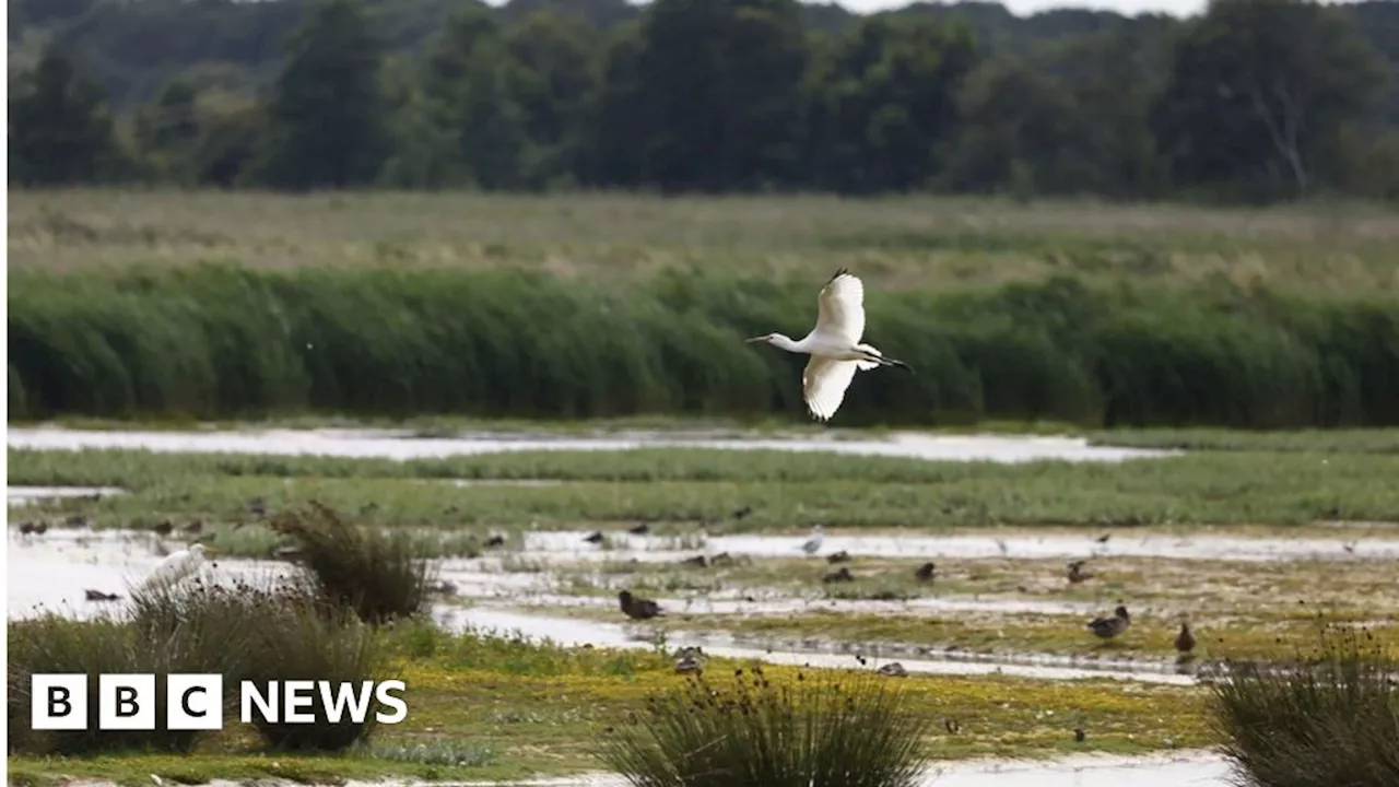 Gloucestershire-based Wildfowl and Wetlands Trust scoops £20k grant