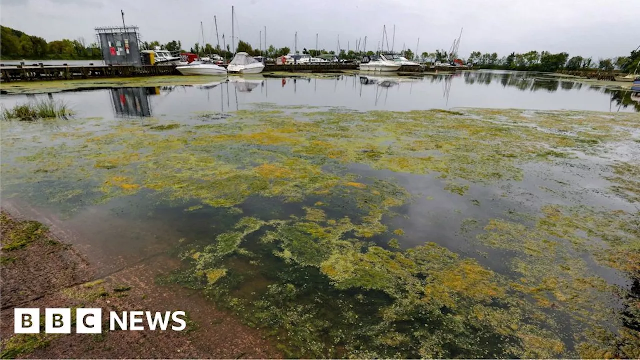 Lough Neagh: Protestors call for urgent action