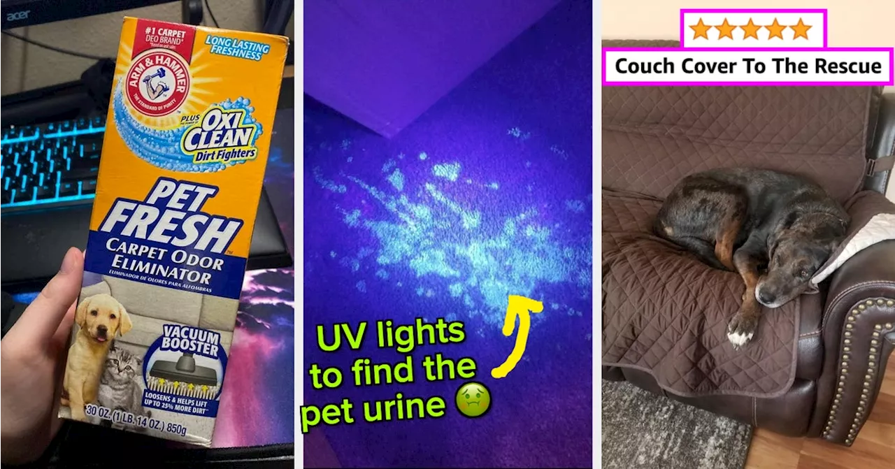 29 Products Pet Owners Swear By To Keep Their House Clean