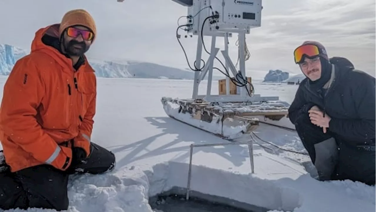 'Dramatic decline': Calgary researcher says sea ice in Antarctica lowest since 1986