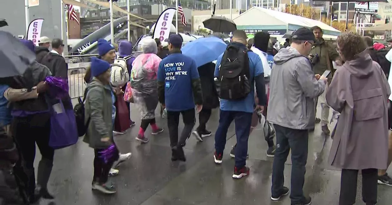 CBS News New York partners with Lupus Research Alliance for New York City Walk to Cure Lupus