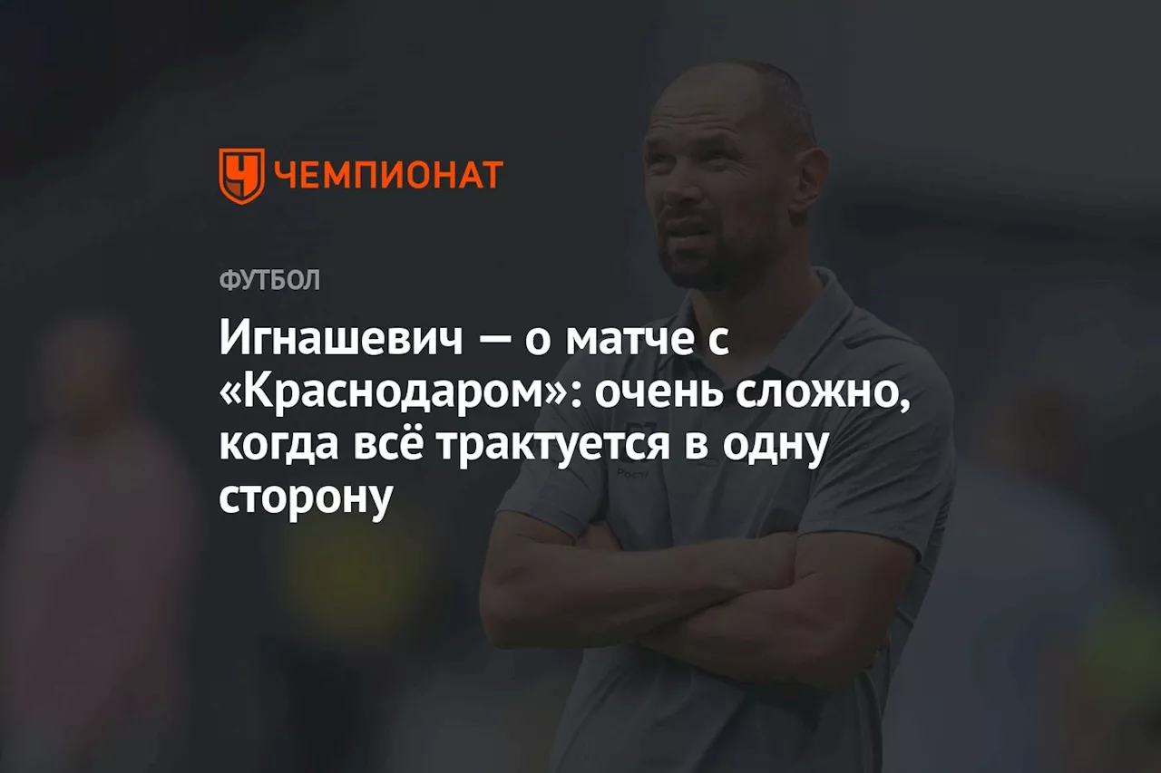 Игнашевич — о матче с «Краснодаром»: очень сложно, когда всё трактуется в одну сторону