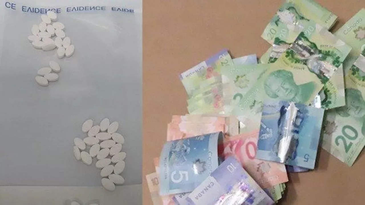 Rcmp Make 3 Drug Busts In 3 Days In West Shore