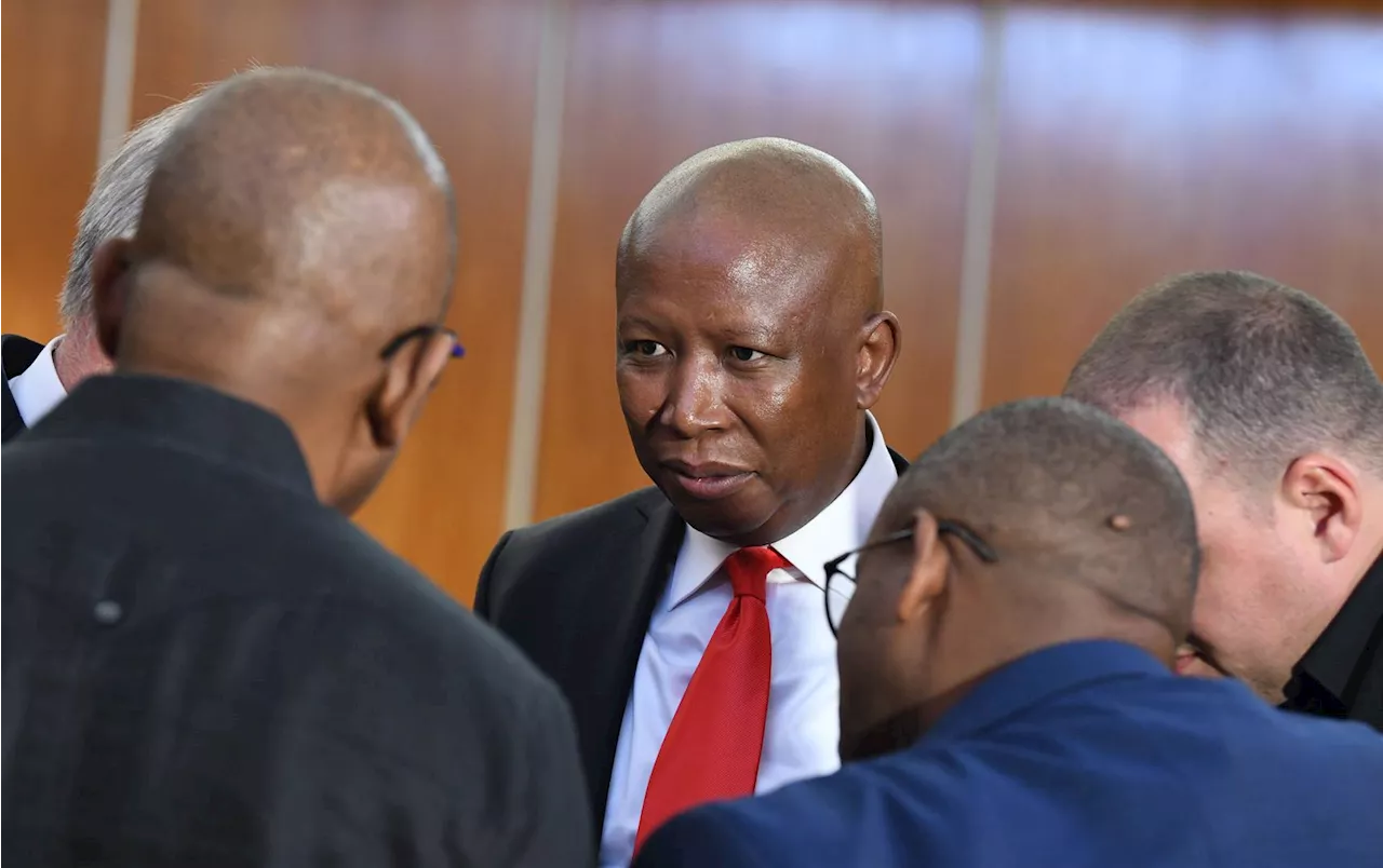 | Malema's accusations against magistrate in firearm discharge case dangerous for judiciary