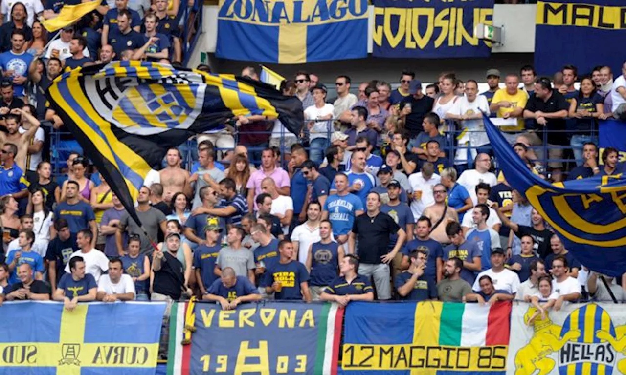 Verona-Napoli: insulti ai giornalisti e aggressione ai tifosi in tribuna VIDEO