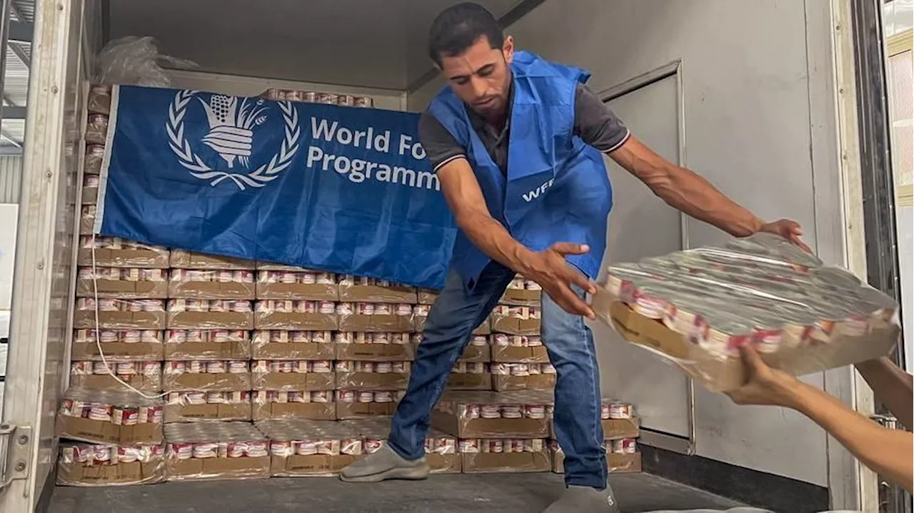 Comida enlatada, medicamentos: como é a ajuda humanitária que chega a Gaza através de Rafah