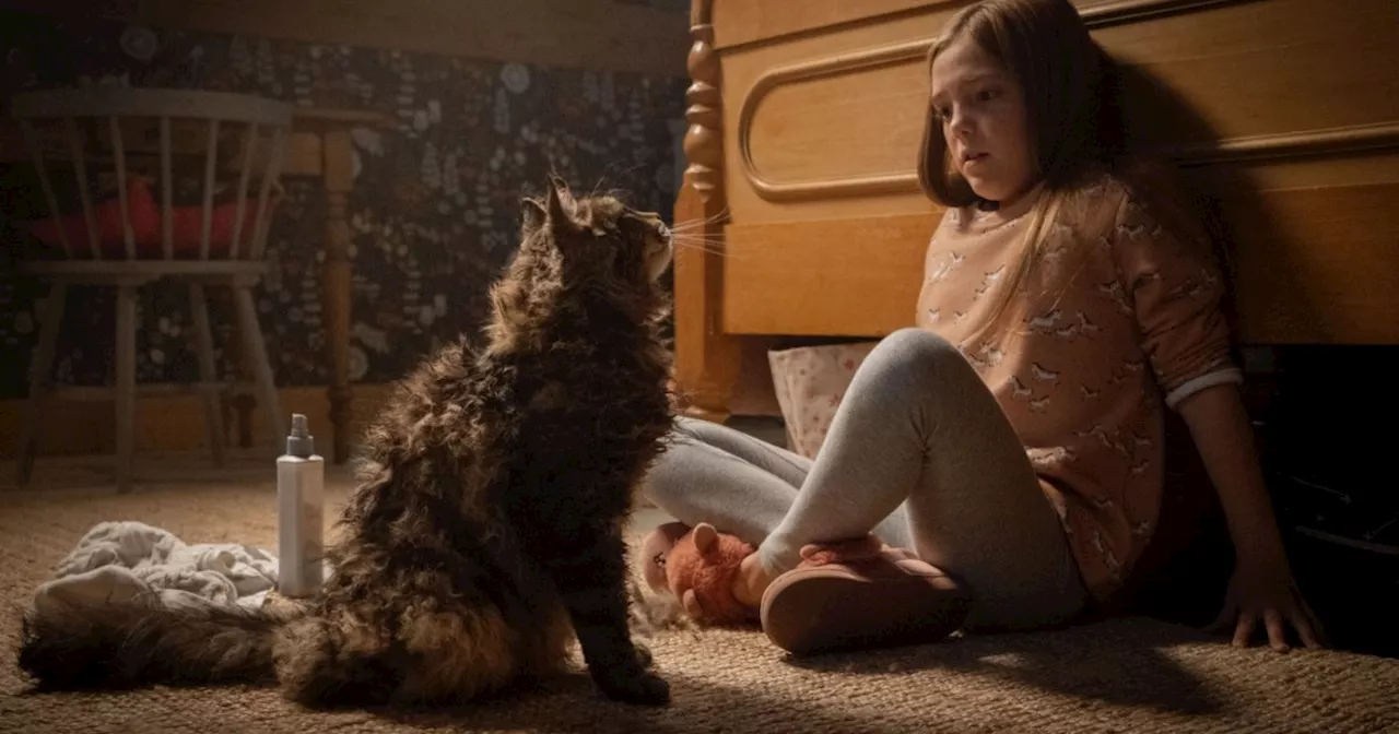 Pet Sematary (2019) Streaming: Watch & Stream Online via Paramount Plus