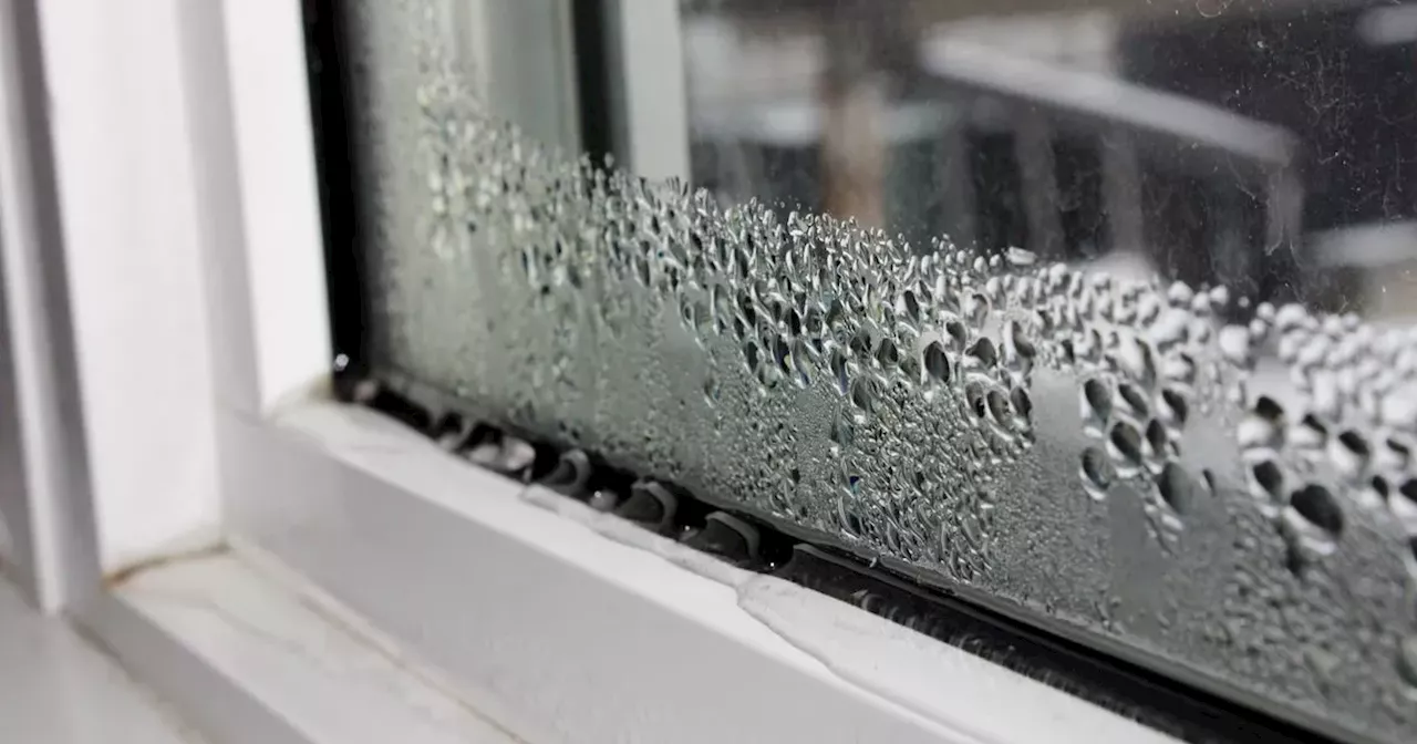 Habit to prevent mould and 'control humidity' you should do every morning