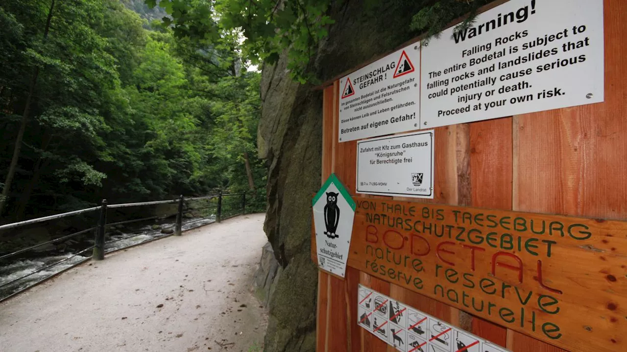 Unglück im Harz: Wanderer stürzt hundert Meter Abhang hinunter und stirbt