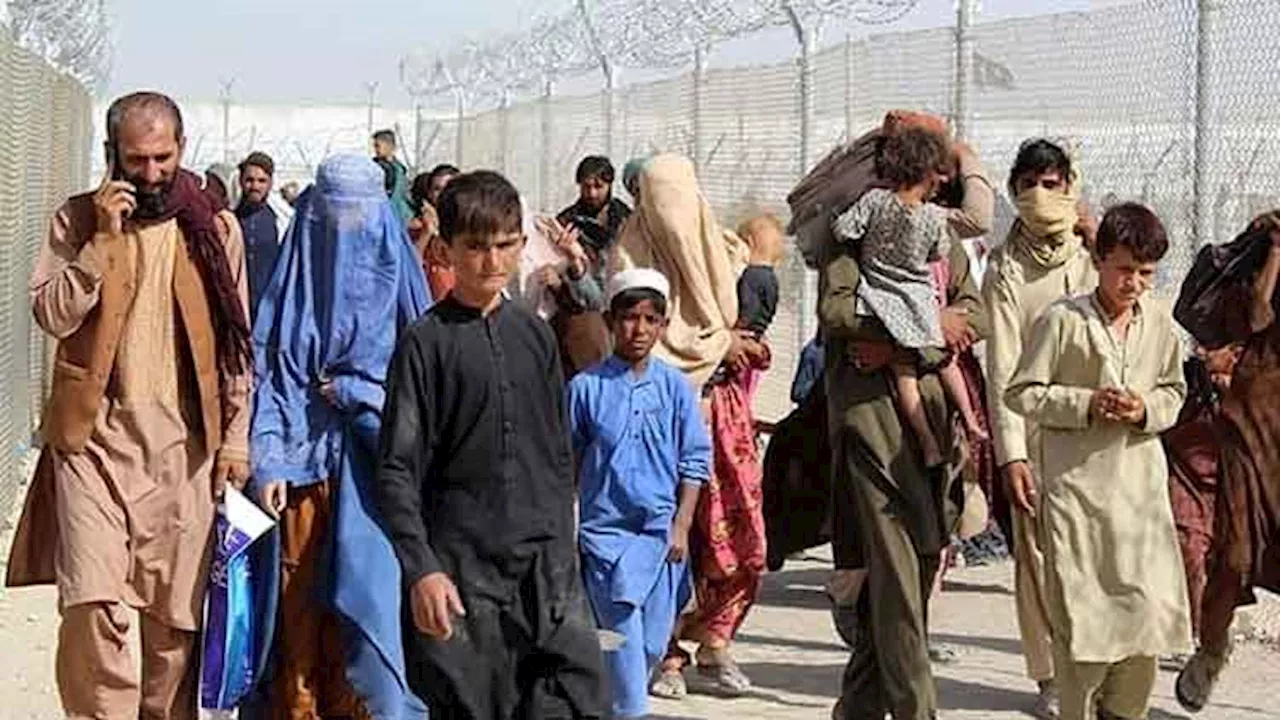 Voluntary repatriation of illegal Afghan immigrants continues