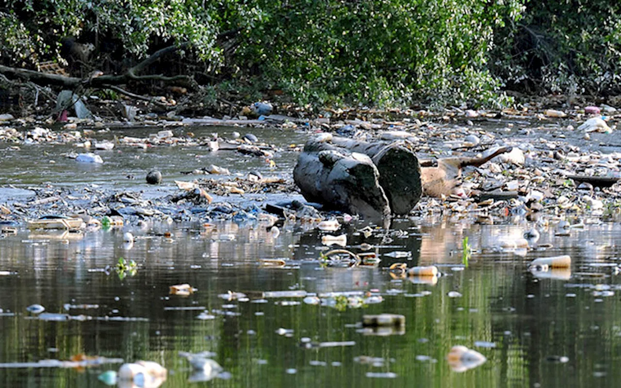 All states must have action plan to deal with river pollution, says DoE