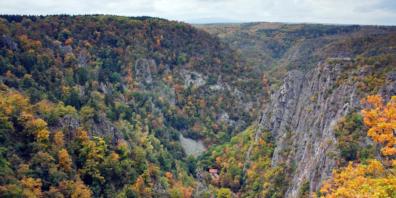 79-jähriger Wanderer stürzt im Harz 100 Meter in die Tiefe und stirbt