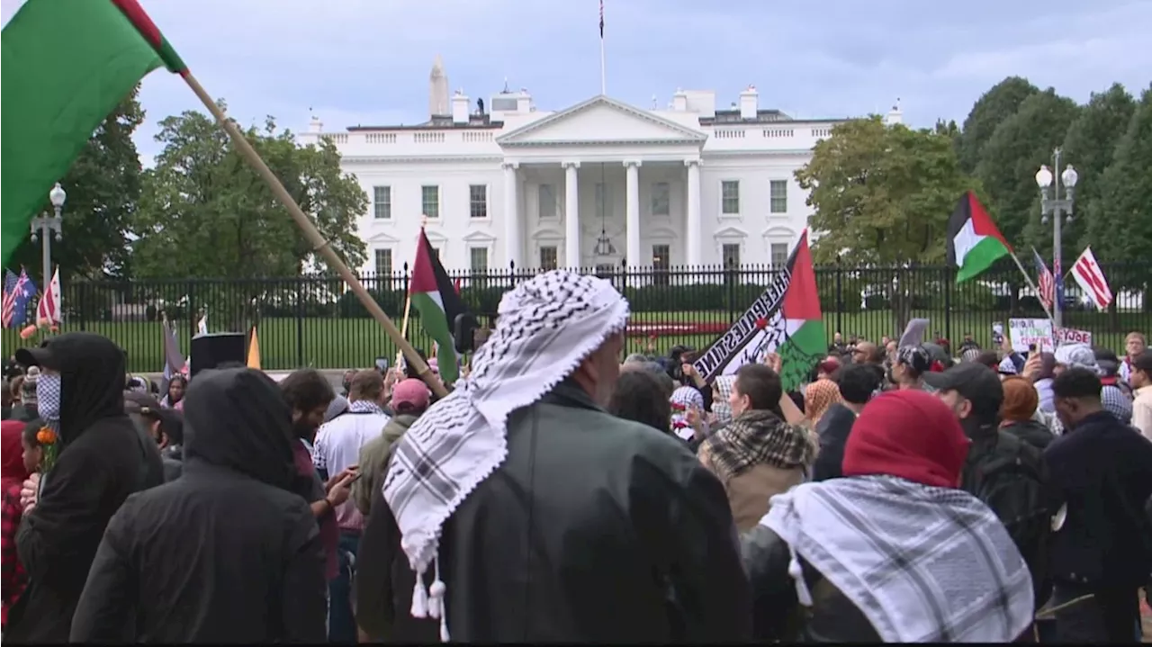 Protestors outside the White House call for ceasefire in Israel-Hamas War