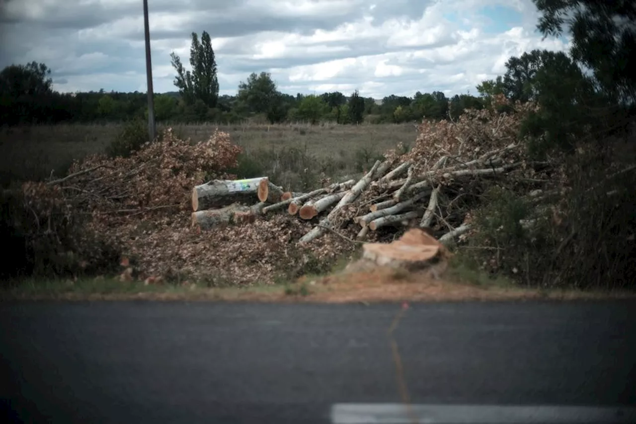 A69 Toulouse-Castres : la circulation fortement perturbée dans le secteur de la manifestation