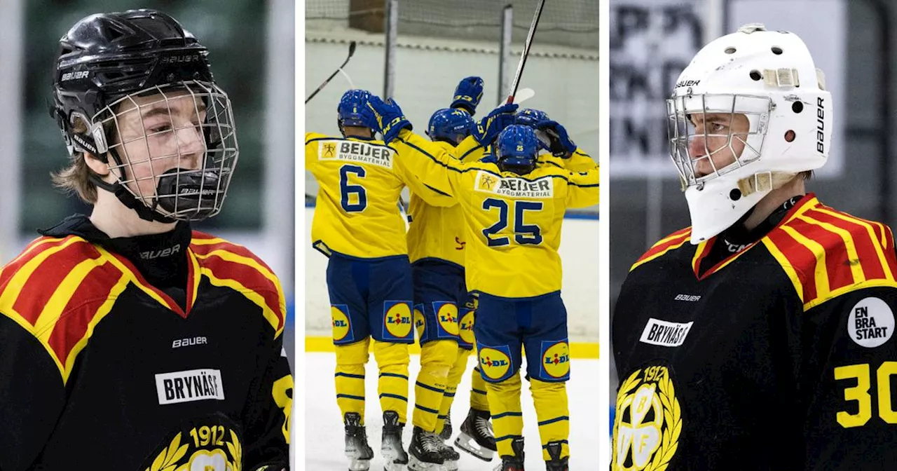 Tre brynäsare till Kanadaturnering