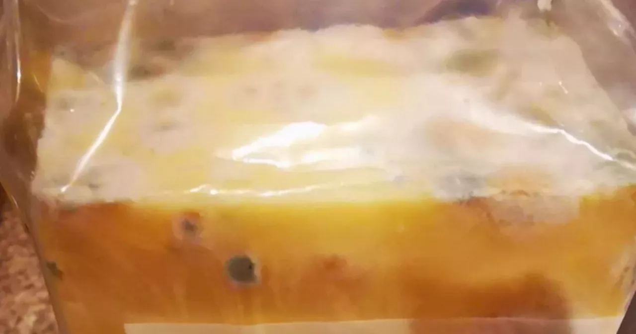 Shopper horrified after opening block of cheese to find it covered in mould