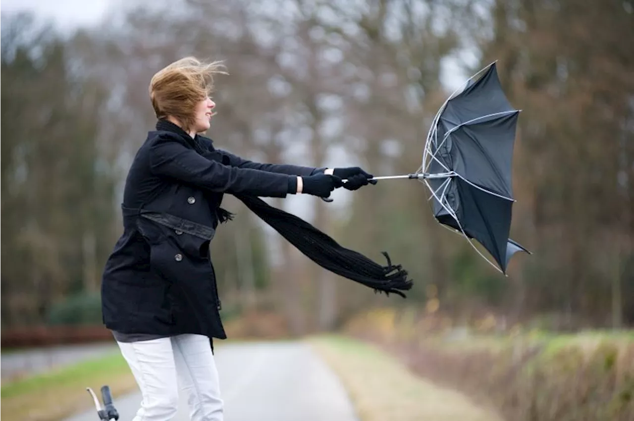 24-Hour Wind Warning Issued – And Bad News For The Weekend Too