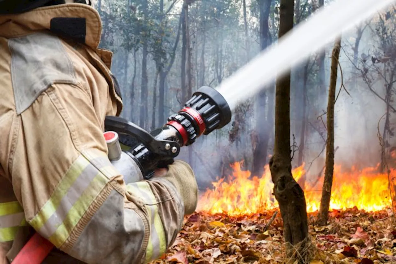 Come On Baby Like My Fire… Woman Starts Wildfire To Give Firefighter Pals Something To Do