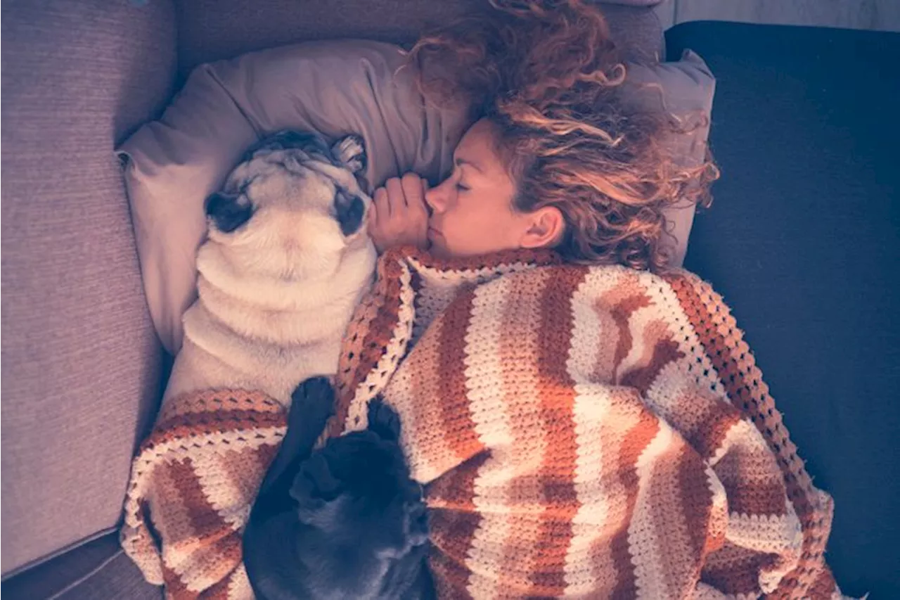 Research proves that sleeping beside your dog has some pretty great side effects