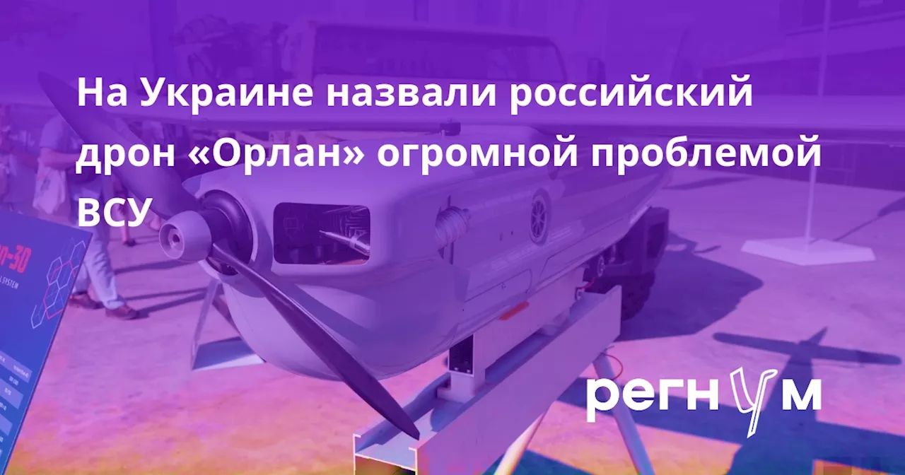 На Украине назвали российский дрон «Орлан» огромной проблемой ВСУ