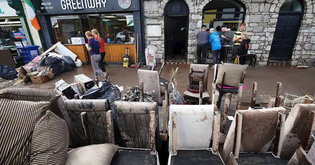 Eamon Ryan says Ireland must change how it manages land to reduce risk of flooding