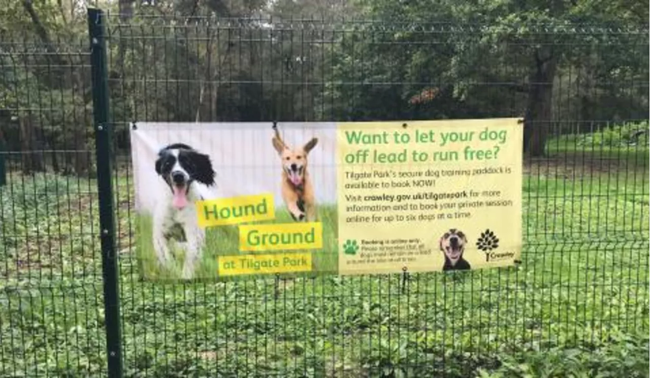 Dog owners to pay Labour council £10 to let pets off the lead in popular Sussex park