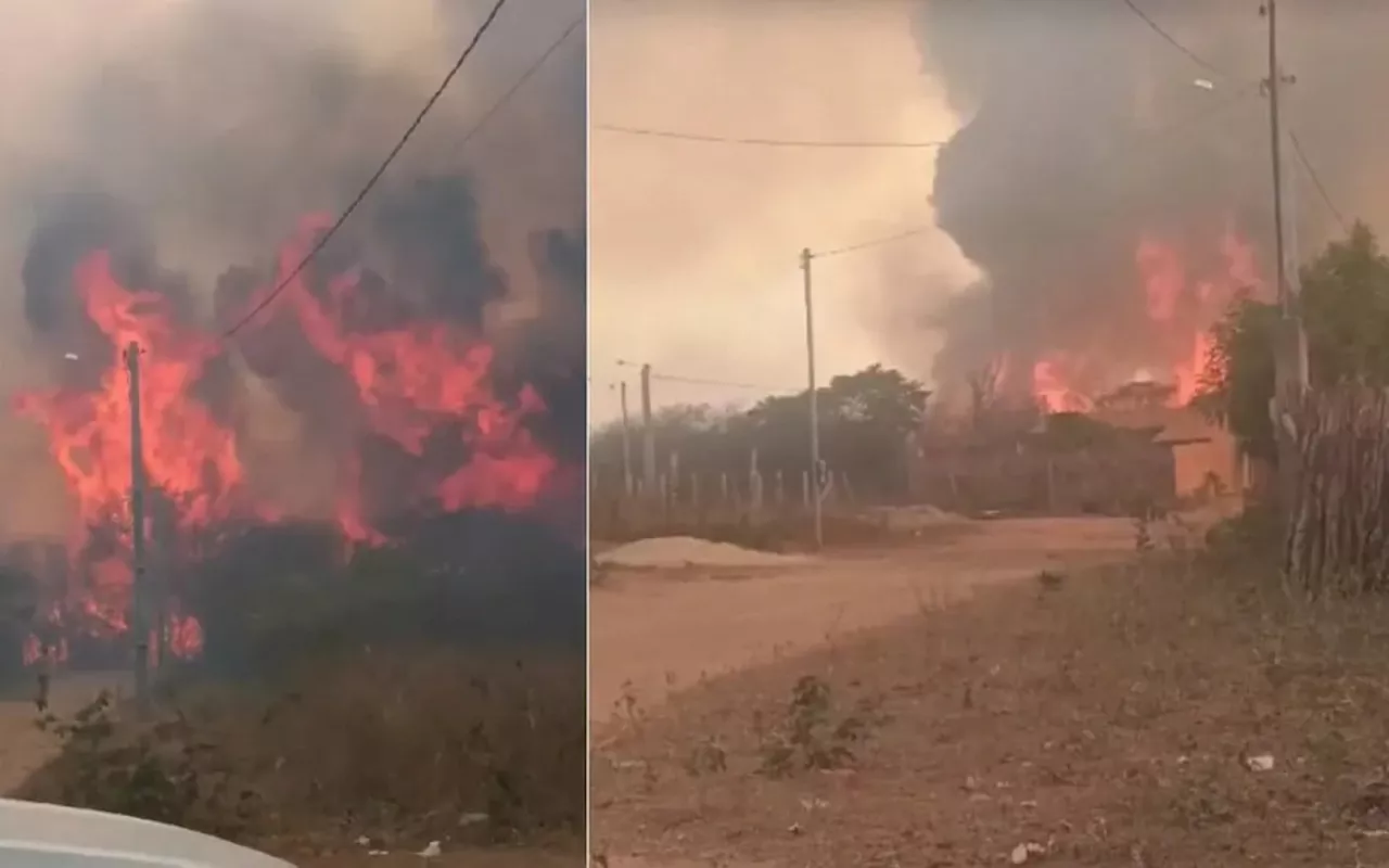 Serra das Confusões: fogo atinge áreas de Caatinga do Parque Nacional