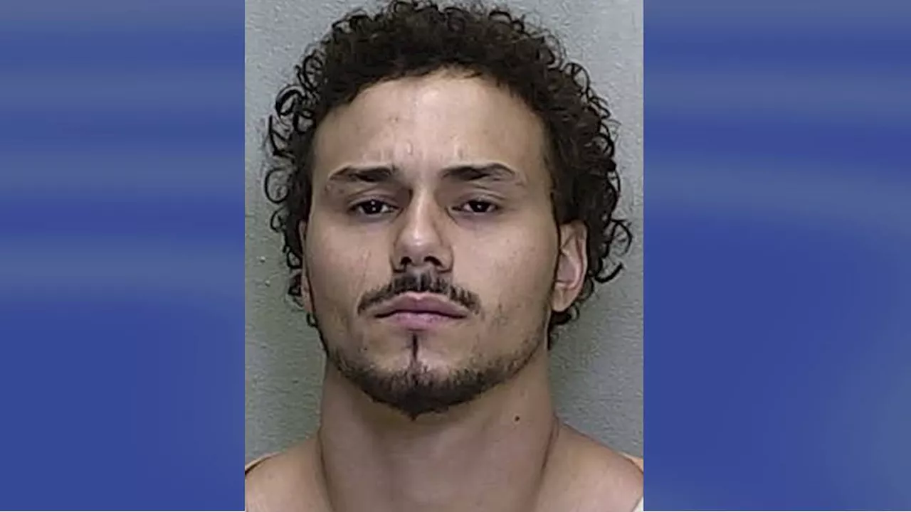 Motorist dives out of vehicle window ‘like a dolphin’ during chase, deputies say