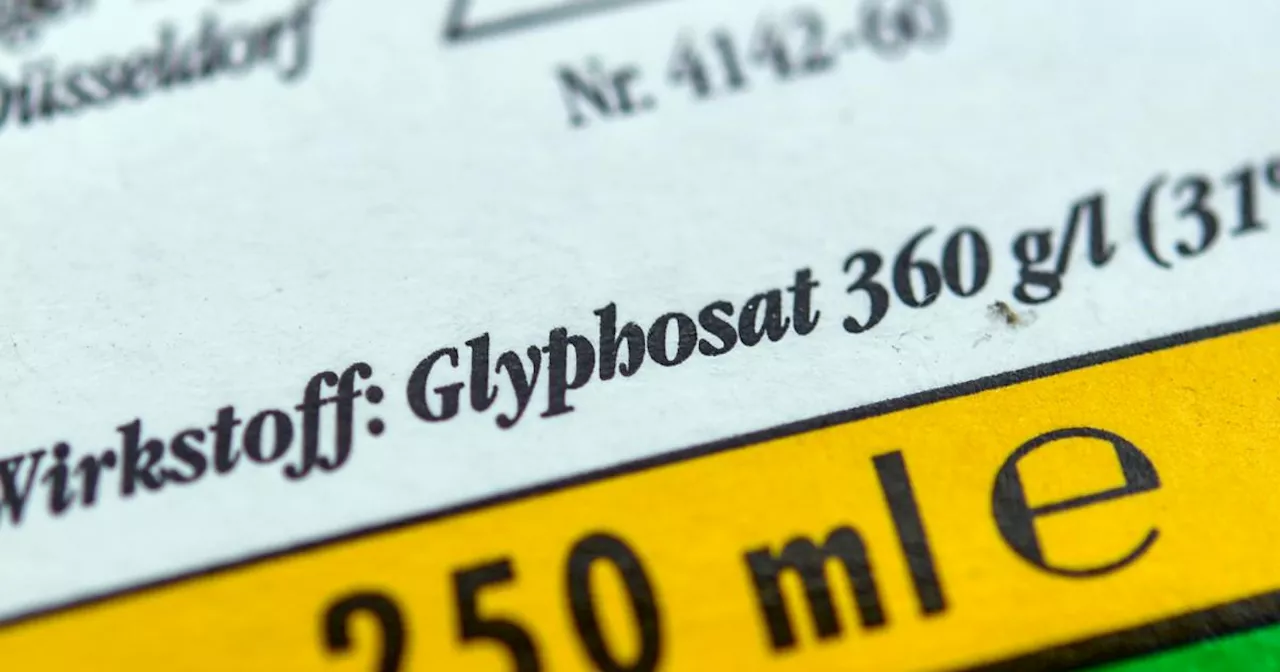 Glyphosat: Bayer muss 1,25 Millionen Dollar an Krebskranken zahlen