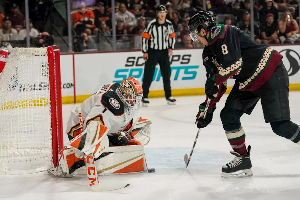 Lukas Dostal’s 25 saves not enough in Ducks’ 2-1 loss to Coyotes