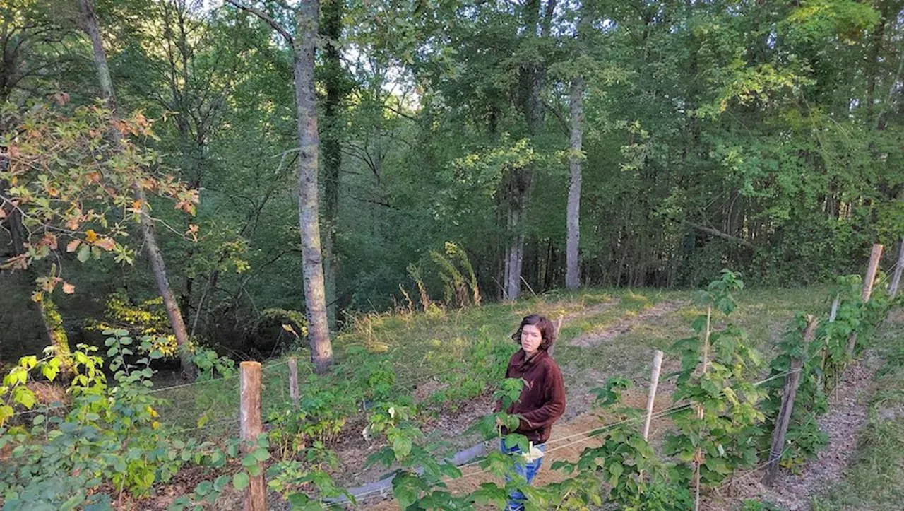 Sainte-Croix-Volvestre : une nouvelle activité agricole au sein du village