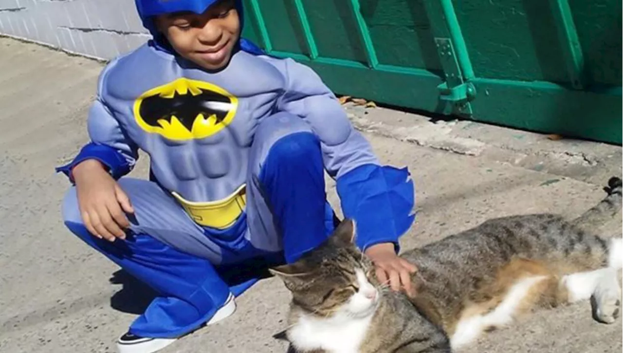 La storia di Shon, 11 anni, il super eroe che sfama e assiste i gatti randagi di Philadelphia