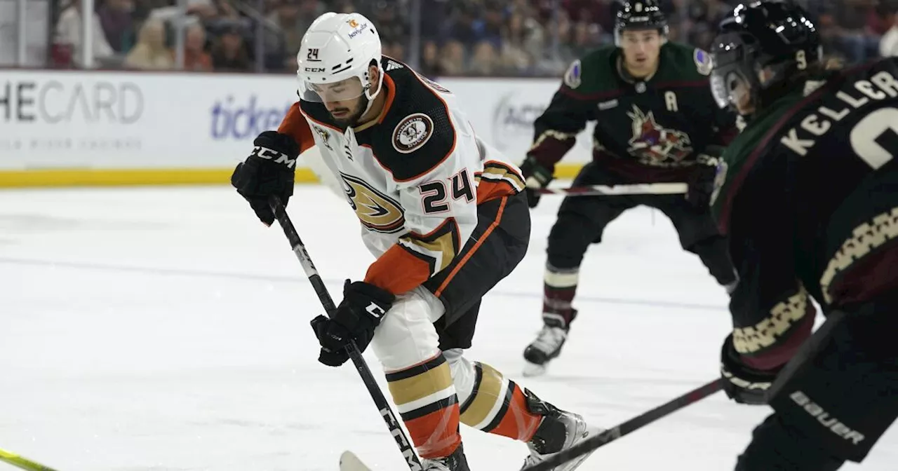 Ducks can't keep pace with Coyotes in penalty-filled loss