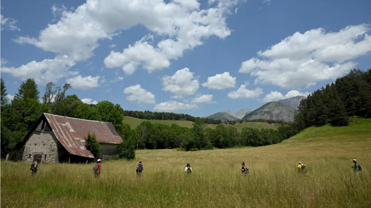 Disparition d’Émile : pourquoi l’enquête se concentre sur un jeune agriculteur