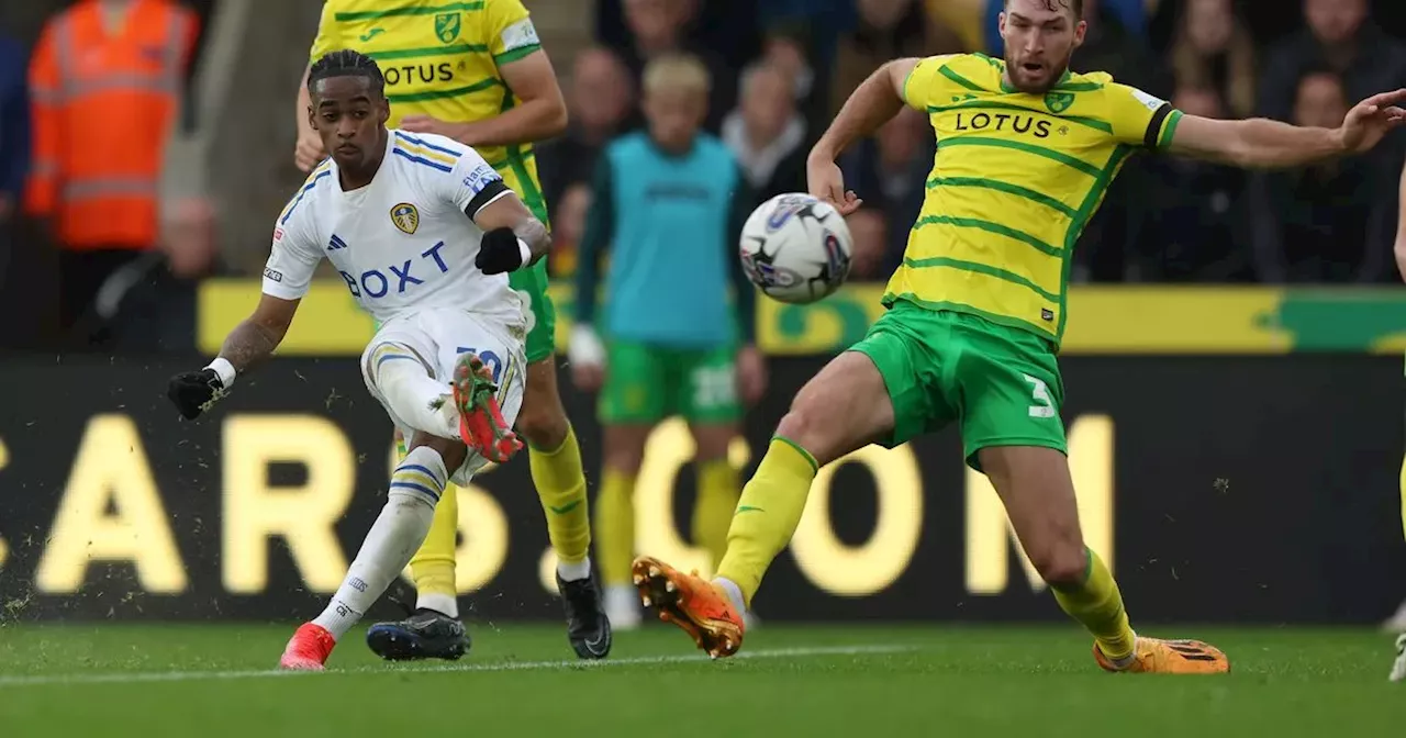 Leeds United player ratings as Summerville leads immense fightback over Norwich