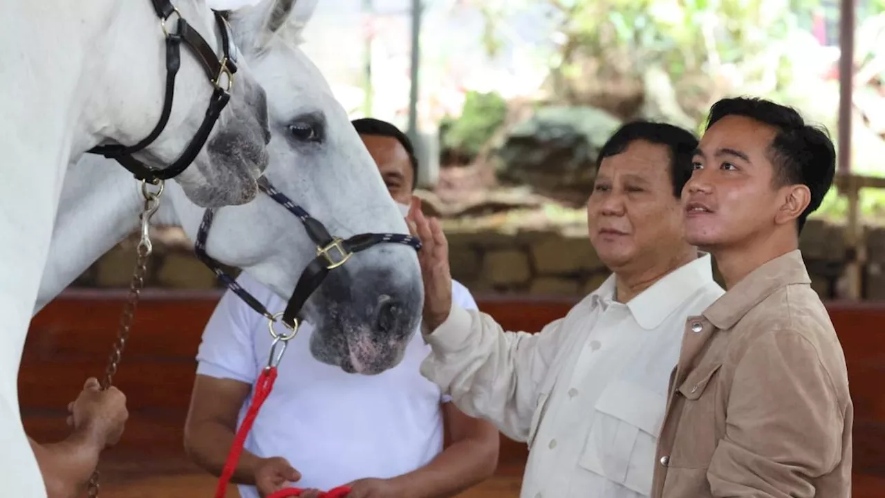 Gibran Rakabuming Raka Diusung Golkar Jadi Cawapres Prabowo, Simak Harta Kekayaannya