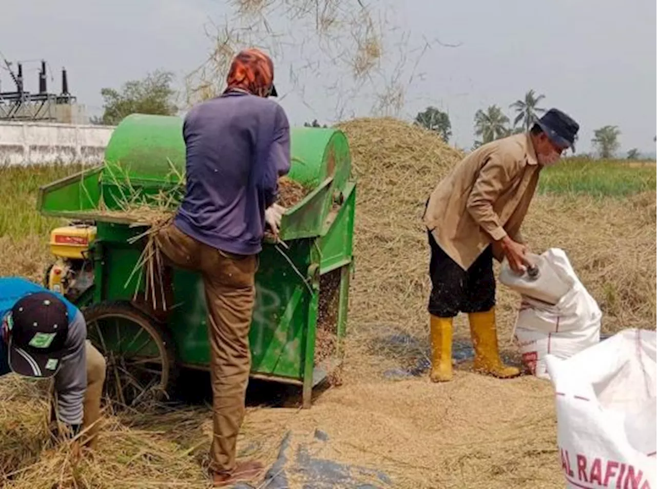 Bantuan Modal Pertanian Dorong Pertumbuhan Ekonomi