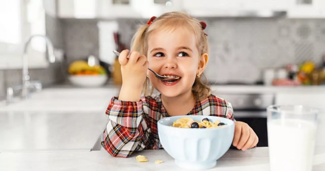 Dad's 'lazy' choice of breakfast for toddler really takes the biscuit