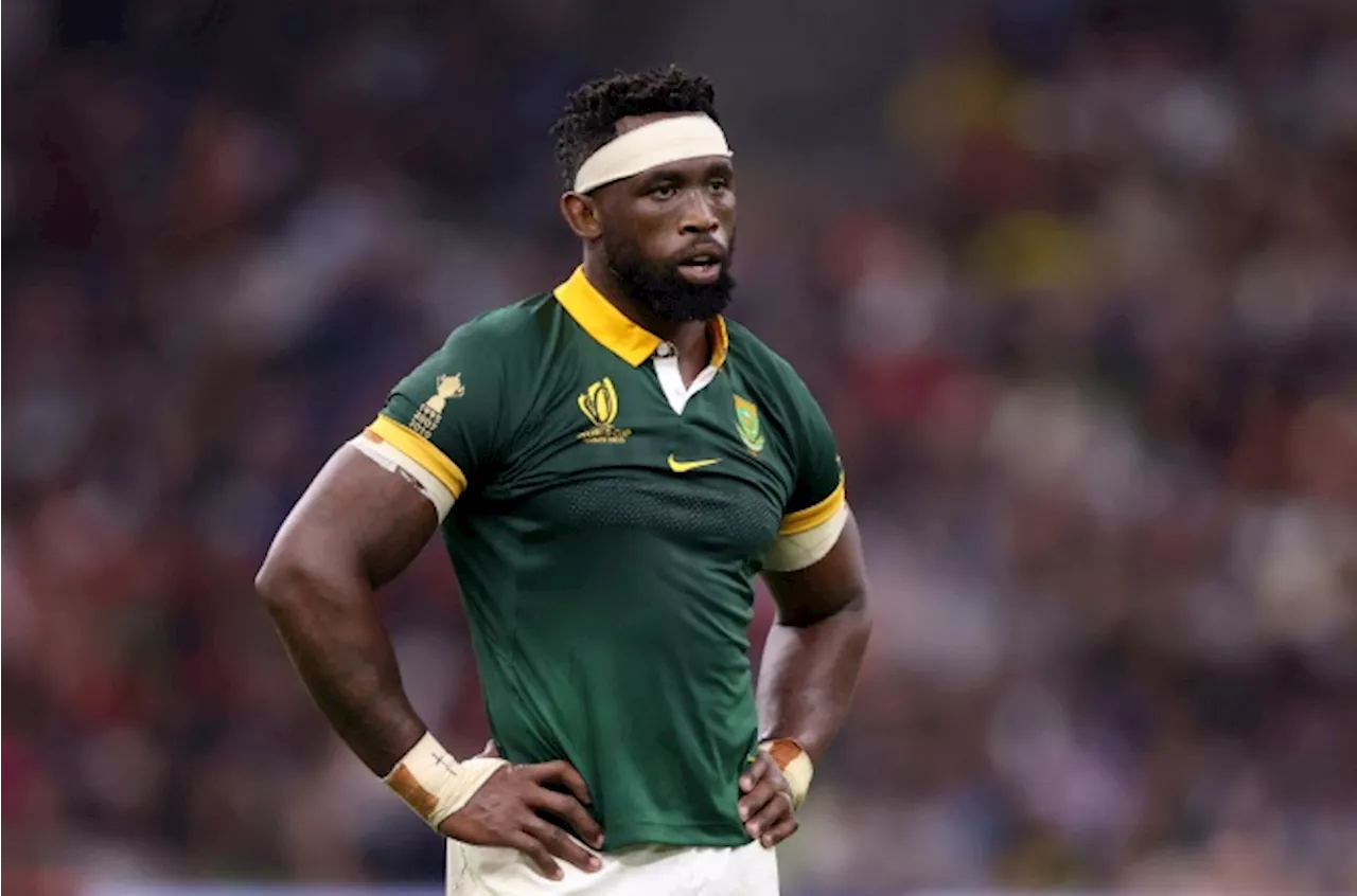 Springbok World Cup drive about more than a trophy: 'Not giving everything would be cheating'