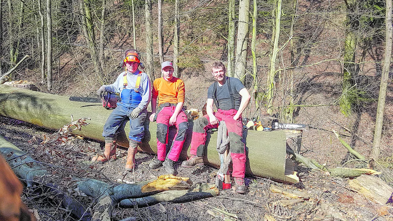 Franz Stöger über Nachhaltigkeit: „Wald heißt Verantwortung“