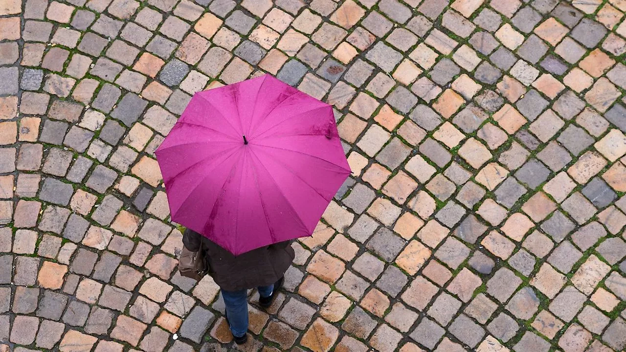 Baden-Württemberg: Wind und Regen bei milden Temperaturen in Baden-Württemberg